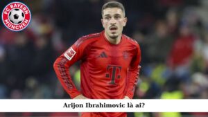 Thông tin tổng quan về Arijon Ibrahimovic