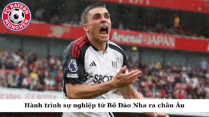 Hành trình sự nghiệp đỉnh cao của João Palhinha