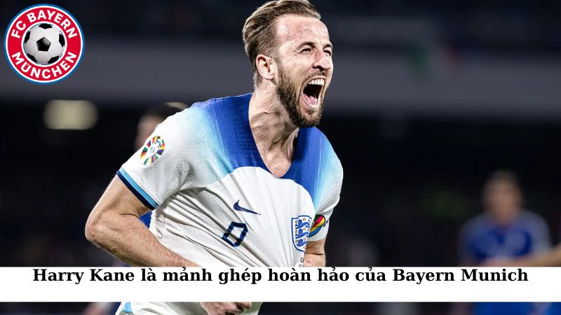 Harry Kane là mảnh ghép hoàn hảo của Bayern Munich